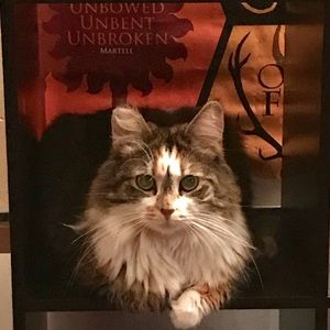 Meet your Posher, Sherry